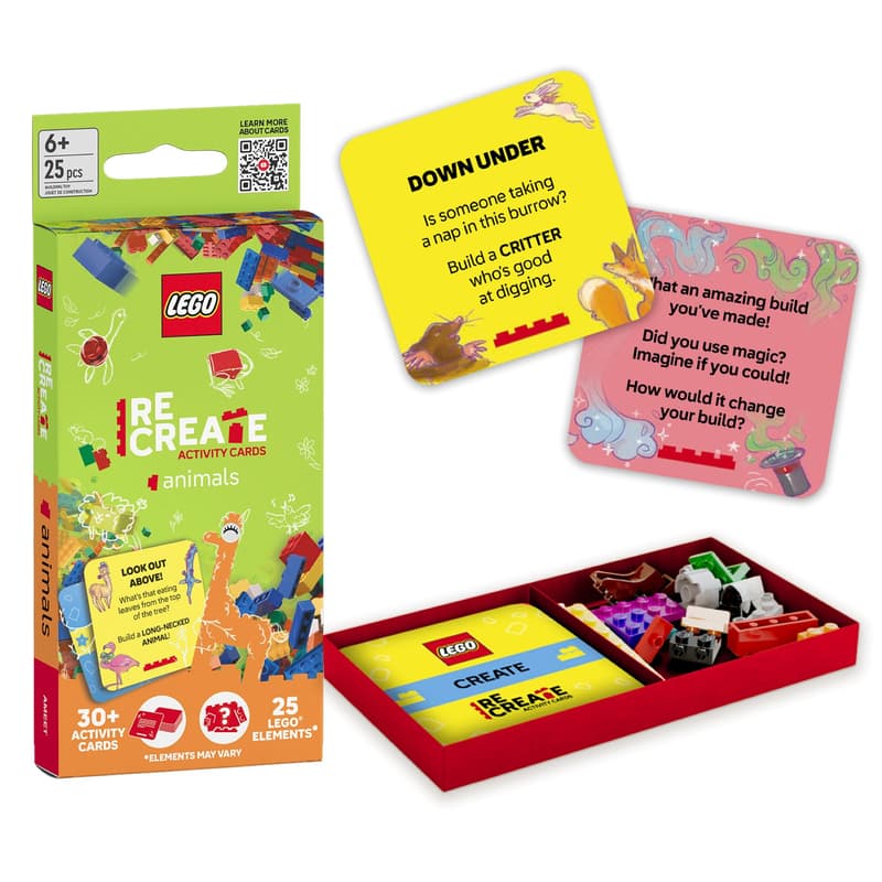 LEGO Recreational Activity Cards