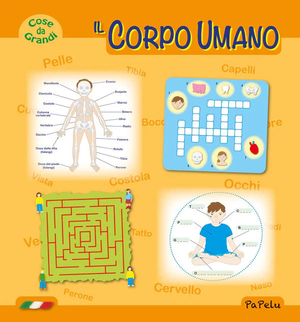 Il Corpo Umano